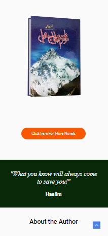 ID CS Hilco responsive 1
